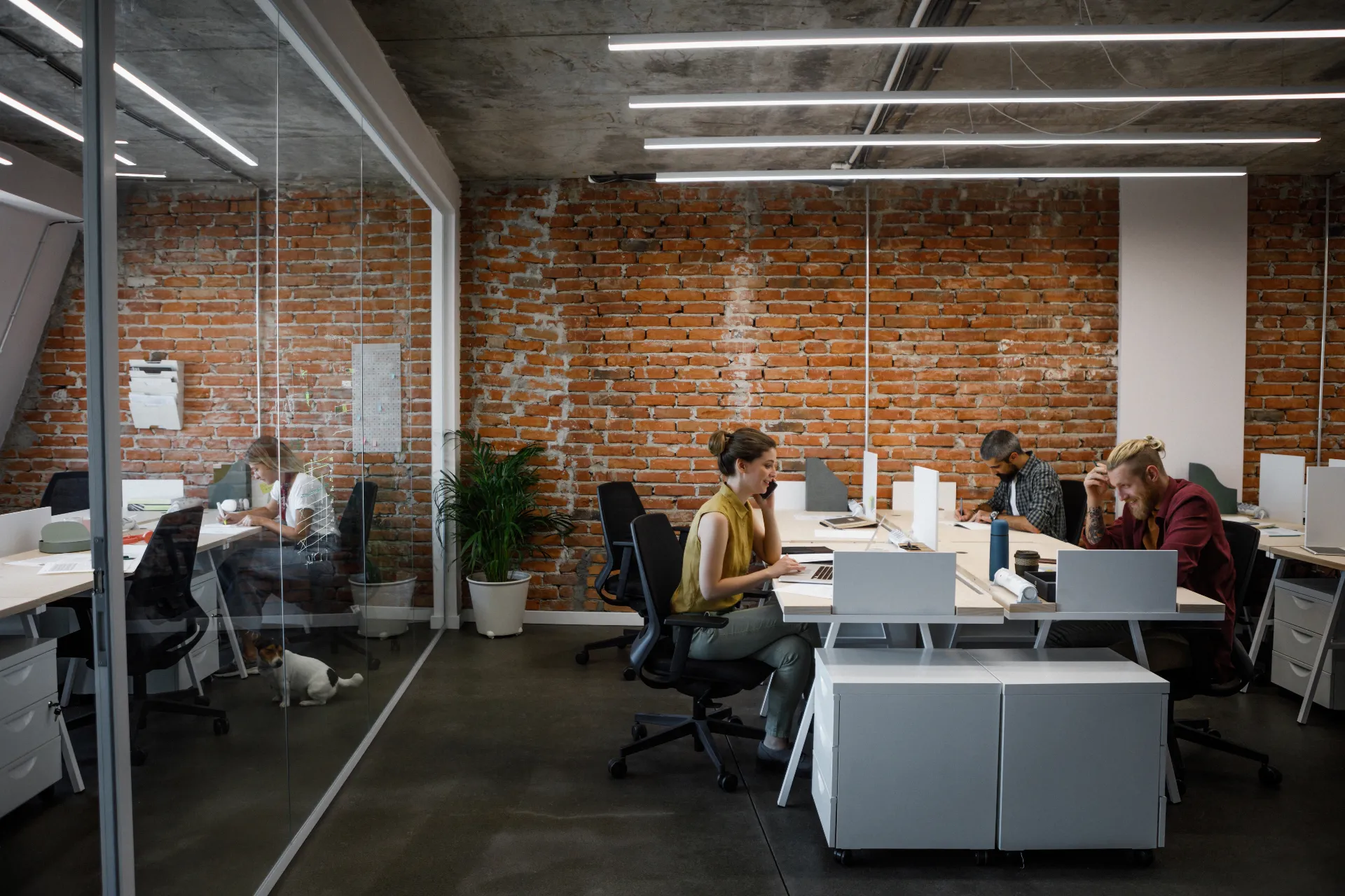 VirtuHub Zemun